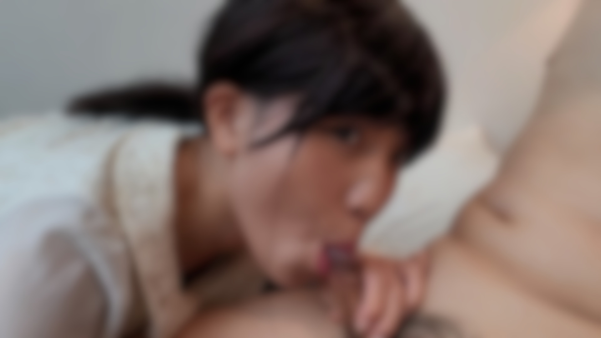 Harriet Solo Members Sugarcookie DimsumT